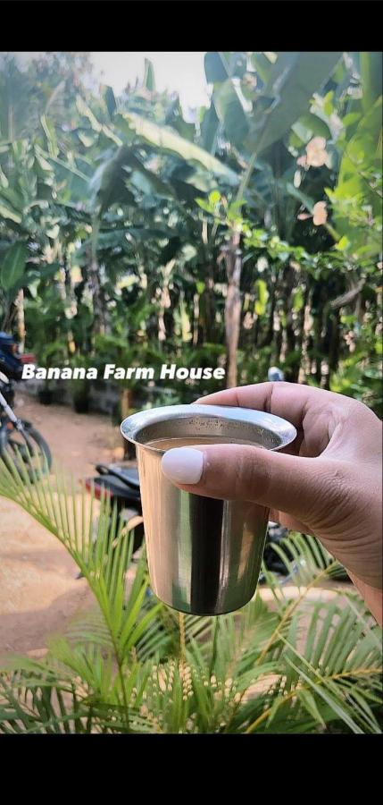 Banana Farm House Hampi Exterior photo