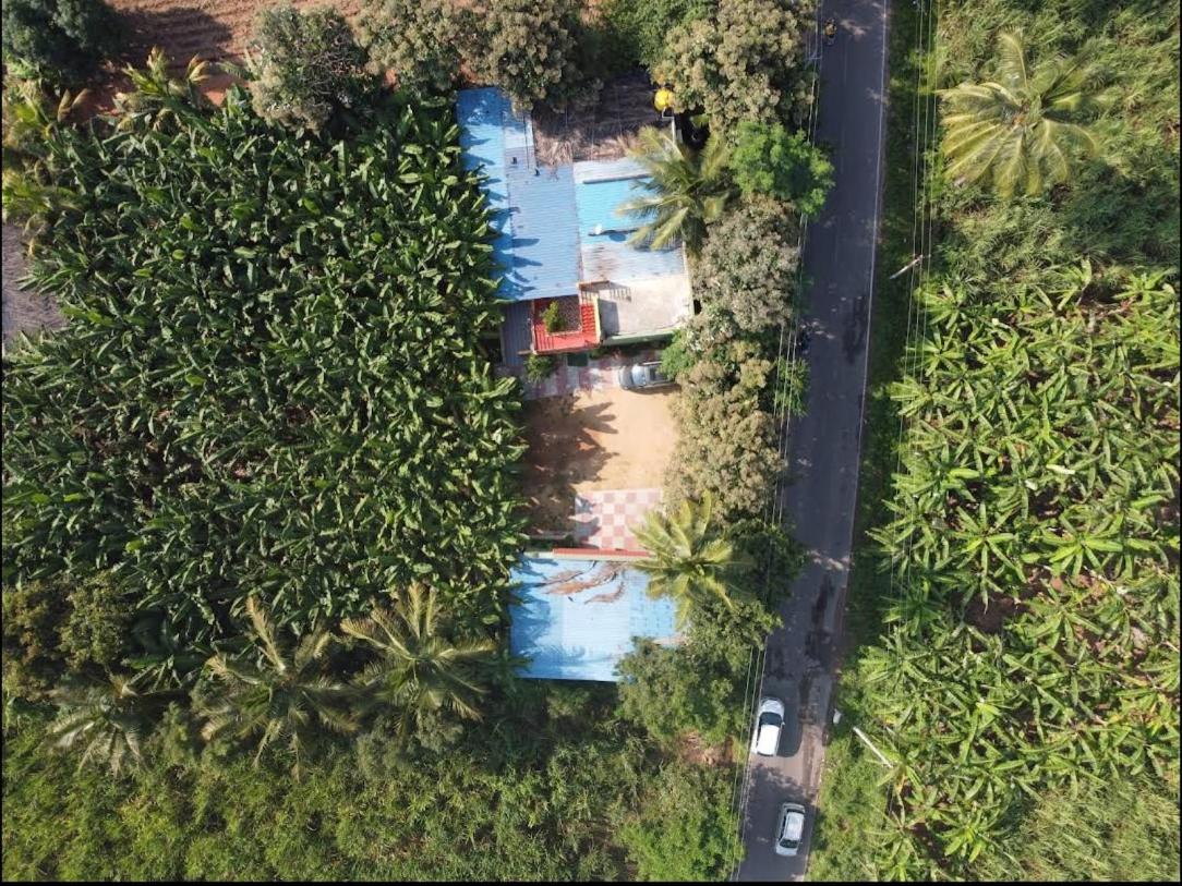 Banana Farm House Hampi Exterior photo