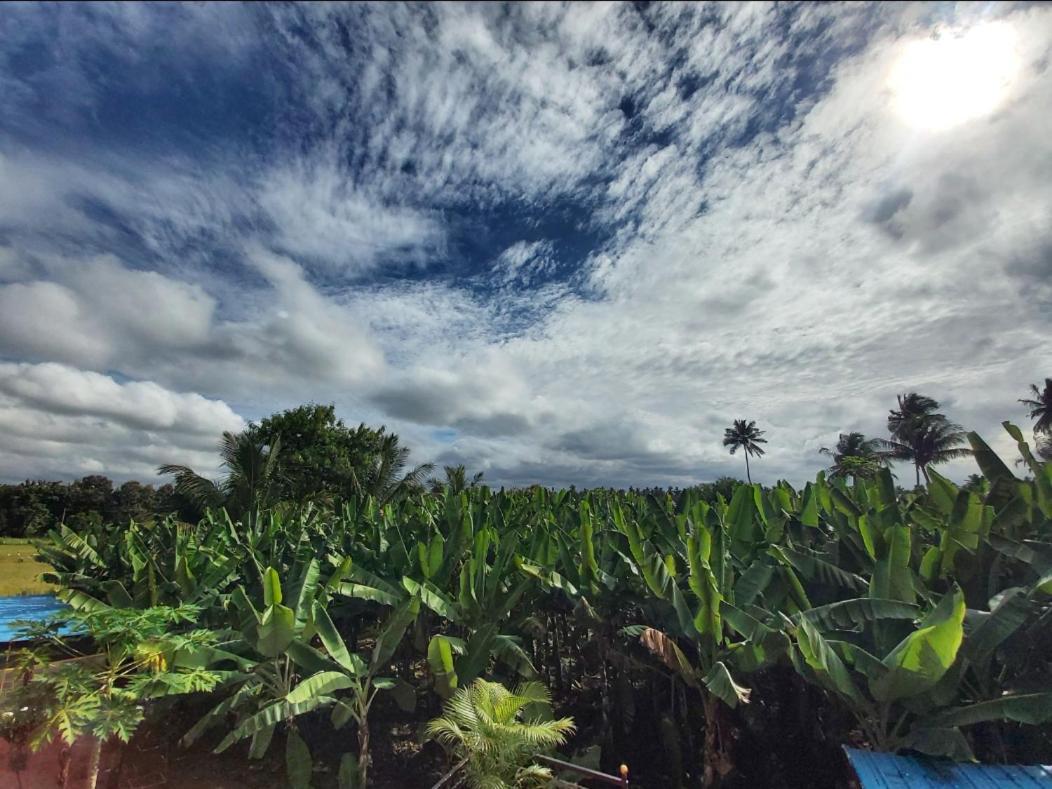 Banana Farm House Hampi Exterior photo