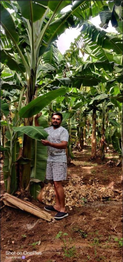 Banana Farm House Hampi Exterior photo